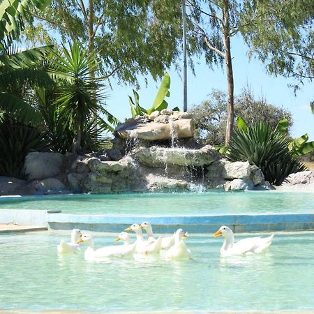 Bambi Lodge Grootfontein Bagian luar foto