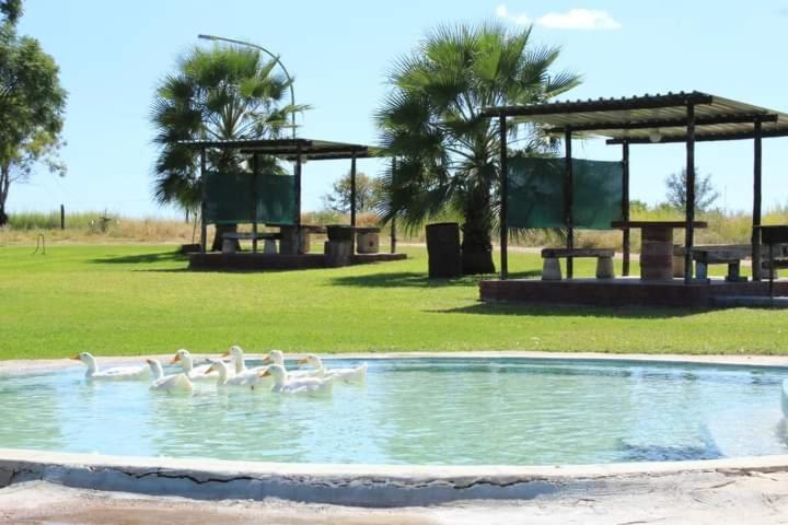 Bambi Lodge Grootfontein Bagian luar foto
