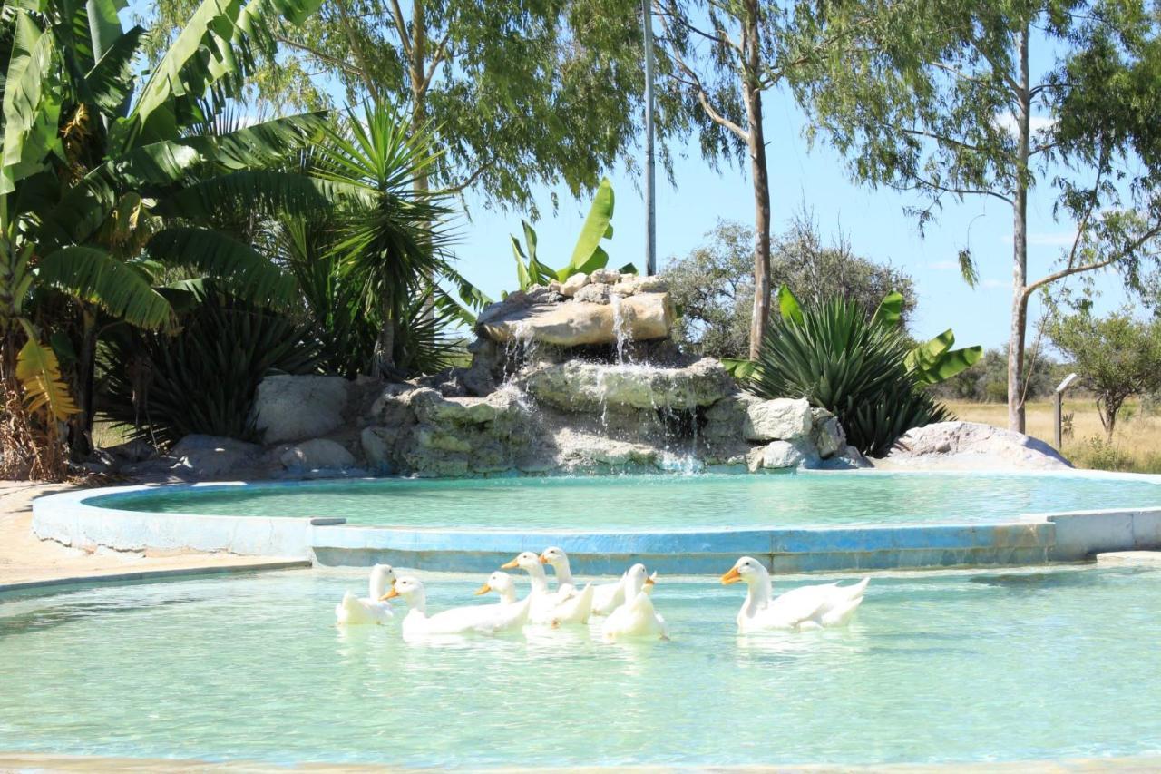 Bambi Lodge Grootfontein Bagian luar foto