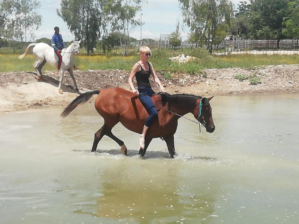 Bambi Lodge Grootfontein Bagian luar foto