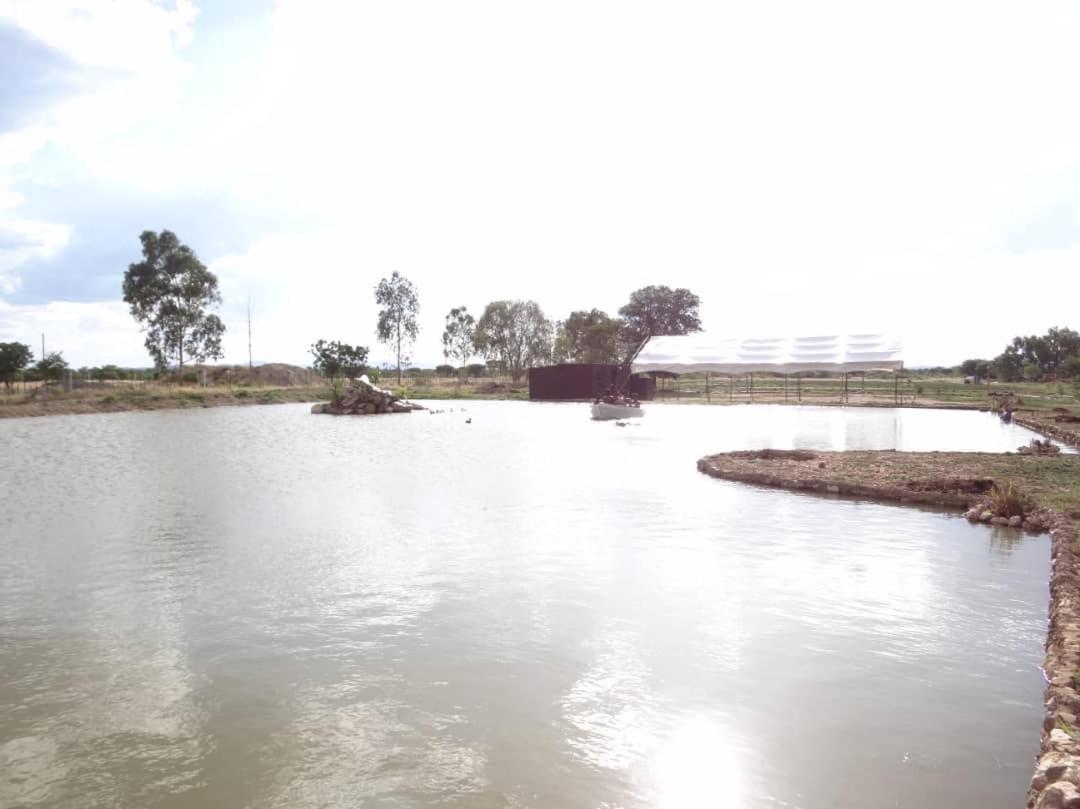Bambi Lodge Grootfontein Bagian luar foto