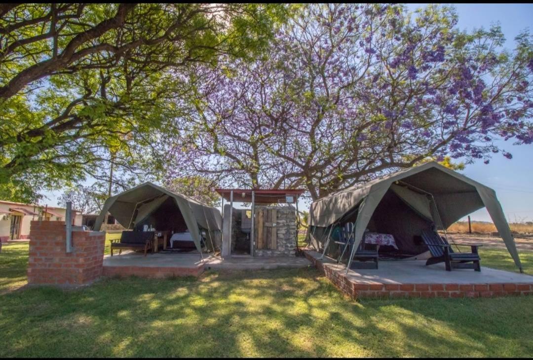 Bambi Lodge Grootfontein Bagian luar foto
