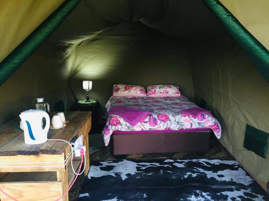 Bambi Lodge Grootfontein Bagian luar foto